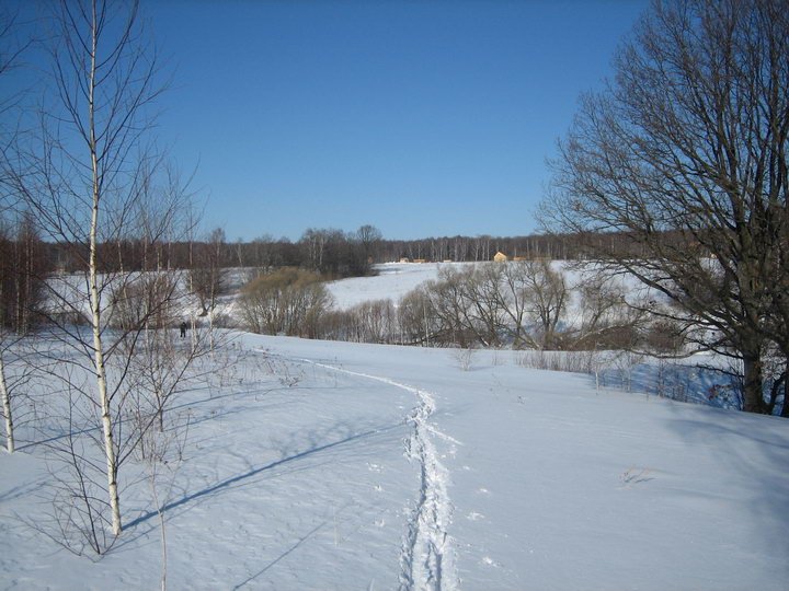 photo3.jpg