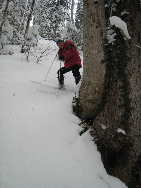 ../Images/02_01_2009_12_01_06.jpg
