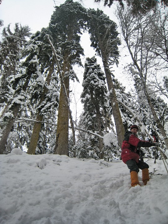 ../Images/02_01_2009_12_10_34.jpg