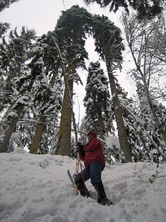 ../Images/02_01_2009_12_12_55.jpg