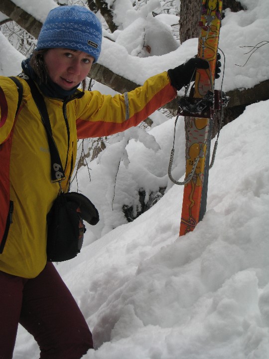 ../Images/02_01_2009_12_15_44.jpg