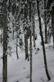 Thumbs/tn_02_01_2009_12_04_46.jpg
