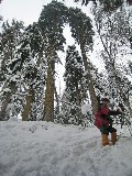 Thumbs/tn_02_01_2009_12_10_34.jpg