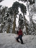 Thumbs/tn_02_01_2009_12_12_55.jpg