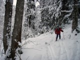 Thumbs/tn_02_01_2009_12_33_56.jpg