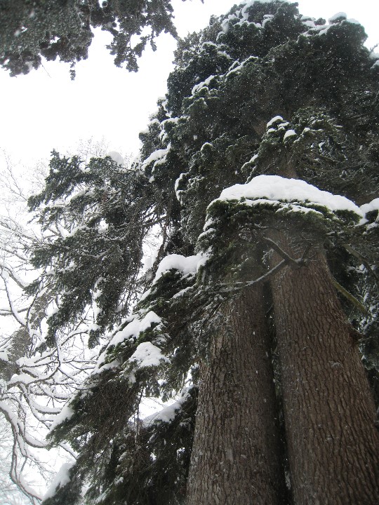 ../Images/04_01_2009_13_59_46.jpg
